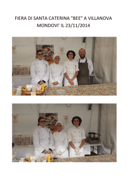 fiera di santa caterina "bee" a villanova mondovi