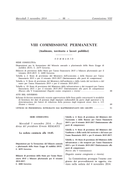 VIII Ambiente, territorio e lavori pubblici