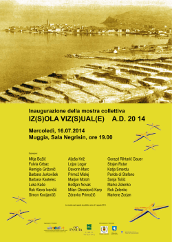 IZ(S)OLA VIZ(S)UAL(E) A.D. 20 14