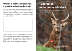 Tuberculosi nella fauna selvatica - BLV