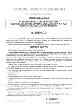 esercizio sel diritto al voto