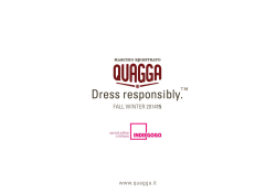 indiegogo campaign