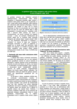 Download - Osservatorio Internazionale dello Stress Ossidativo