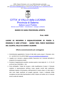 (p.zza v.emanuele) bando - Comune di Vallo della Lucania