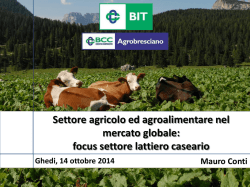 Direttore BIT - BCC Banca Credito Cooperativo Agrobresciano