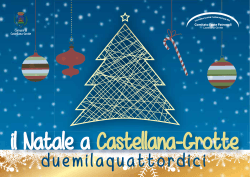 Brochure - Comitato Feste Patronali