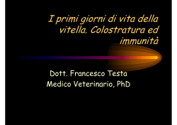 I primi giorni di vita della vitella. Colostratura ed immunità