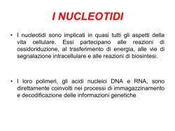 I NUCLEOTIDI - e