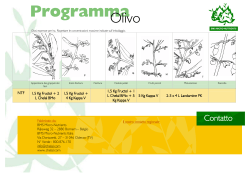 programma olivo - BMS Micro