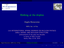 Slides - 11th International Spring Seminar on Nuclear Physics