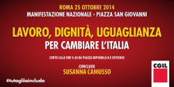 roma 25 ottobre 2014 manifestazione nazionale - piazza san