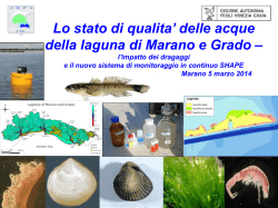 Interventi del personale di ARPA FVG