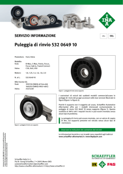 ina_puleggia di rinvio 532 0649 10