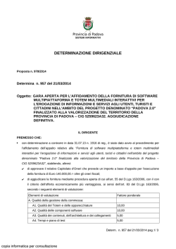 DETERMINAZIONE DIRIGENZIALE
