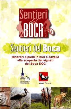 Itinerari a piedi in bici a cavallo alla scoperta dei vigneti del Boca DOC