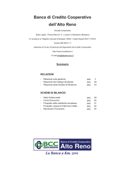 Relazione di Bilancio 2013 B.C.C. Alto Reno