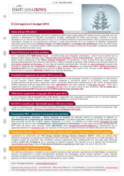 Il Cnd approva il budget 2015