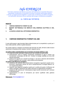 Info Energia n.1 del 15/07/2014 - Associazione Industriale Bresciana