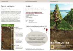 Il terreno viticolo