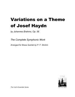 Variations on a Theme of Josef Haydn