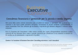 Download - Business Executive Consulting