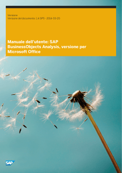 SAP BusinessObjects Analysis, versione per