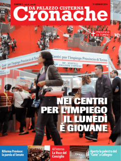 17 gennaio 2014 - Provincia di Torino