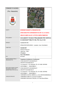 Documento Tecnico preliminare
