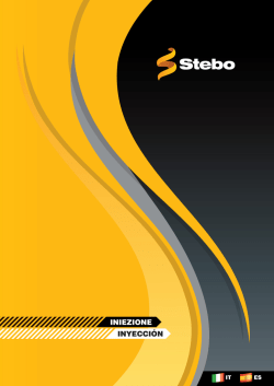 inyecci&oacute;n - STEBO Srl