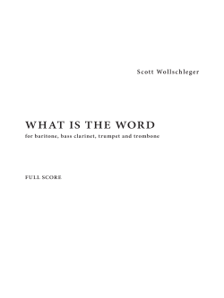 WHAT IS THE WORD - Scott Wollschleger