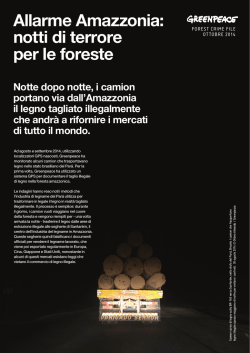 Night Terror - Greenpeace