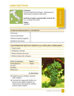 Grechetto G 5 ICA PG