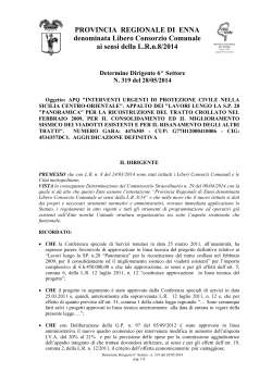 AGGIUDICAZIONE DEFINITIVA - Provincia Regionale di Enna