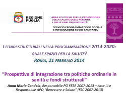 fesr 2007-2013 - Progetto Mattone Internazionale