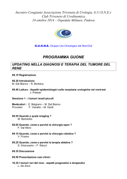 programma ATU-GUONE-CTU PD 24 ottobre 2014