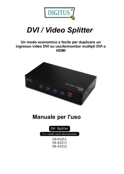 DVI / Video Splitter