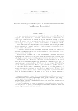 Ricerche morfologiche ed etologiche su Paraleucoptera sinuella Rtti