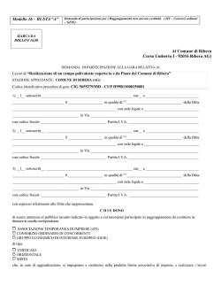 Istanza partecipazione raggruppamenti non costituito modello 1b