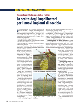 La scelta degli impollinatori per i nuovi impianti di nocciolo
