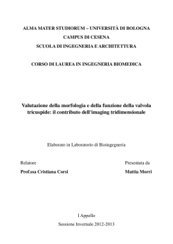 Documento PDF - AMS Tesi di Laurea