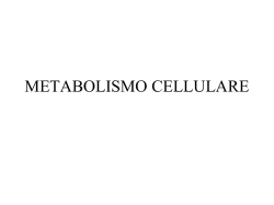 Glicolisi