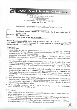 determina allegati - ato ambiente cl2