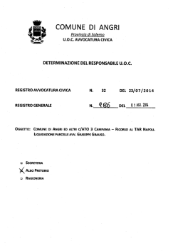 Determina n.986-2014-Comune di Angri ed altri contro ATO 3