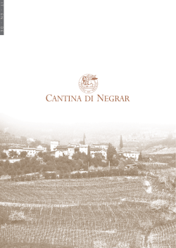IT - EN - DE - Cantina Valpolicella Negrar