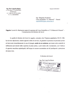 Ing. Pier Luigi De Biasio Sassari lì 22/01/2015