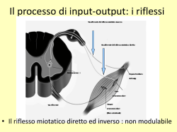 Il processo di input