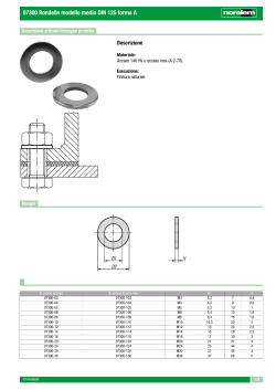 07300 Rondelle modello medio DIN 125 forma A
