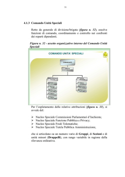 Figura n. 32 - assetto organizzativo interno del Comando Unit&agrave;