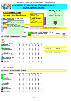 Comunicato 17 del 19/01/2015