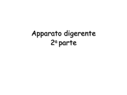 duodeno